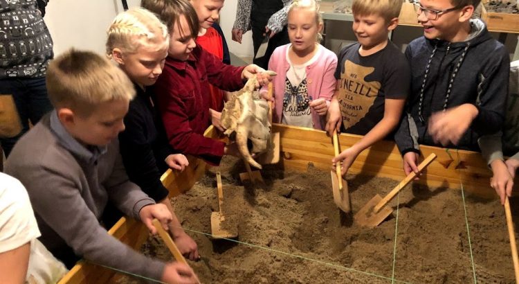 Sena dzīvnieka galvaskauss