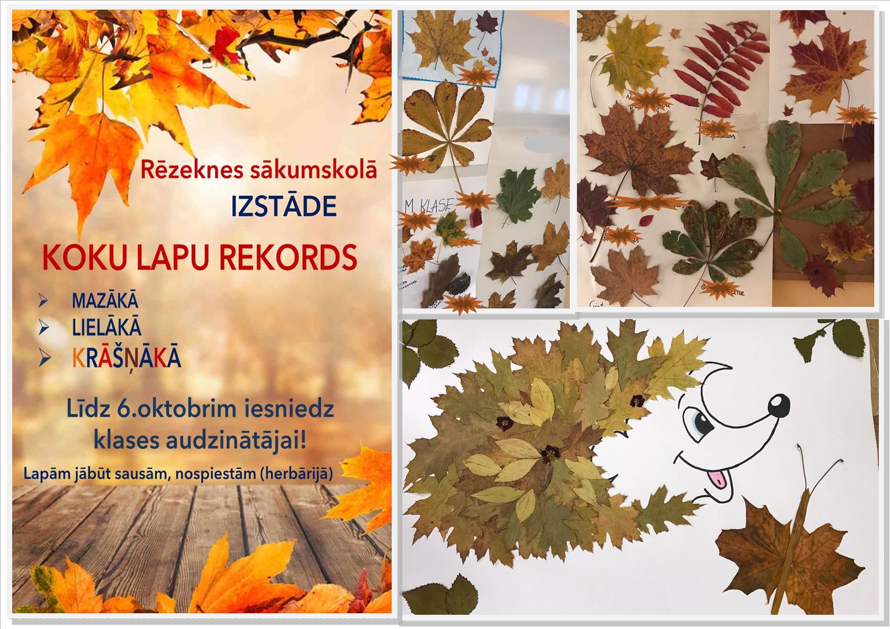 Rekordi_1