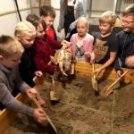 Sena dzīvnieka galvaskauss